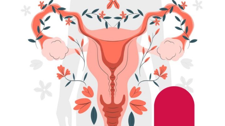 A Histerectomia cirúrgica: onde encontrar?