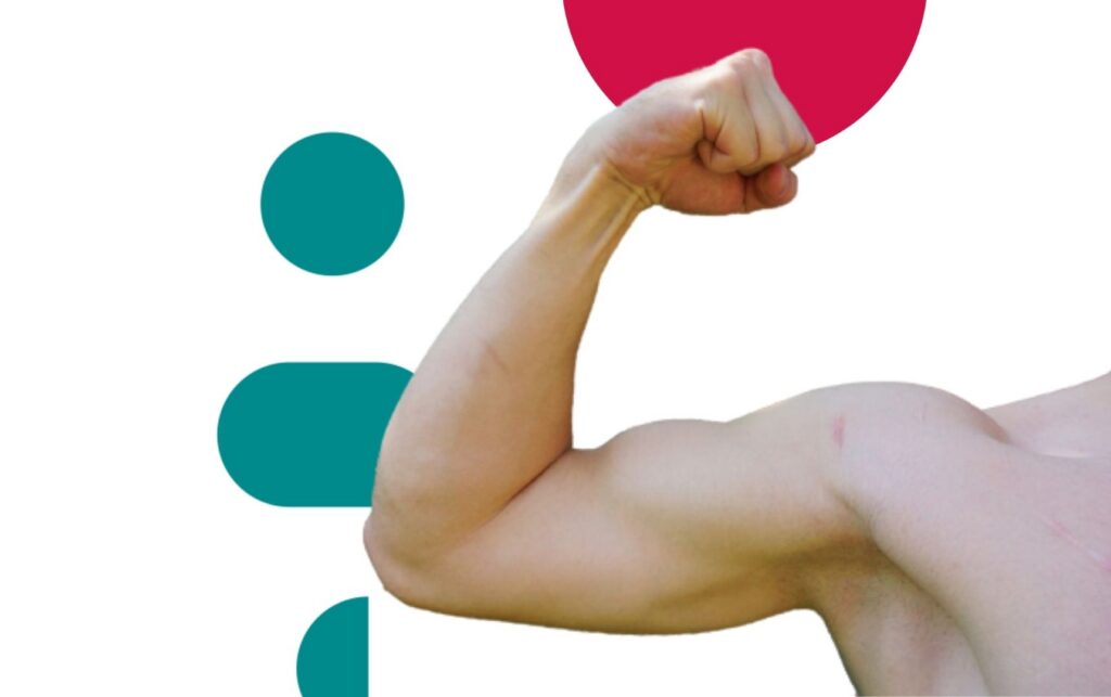 exercícios para bíceps