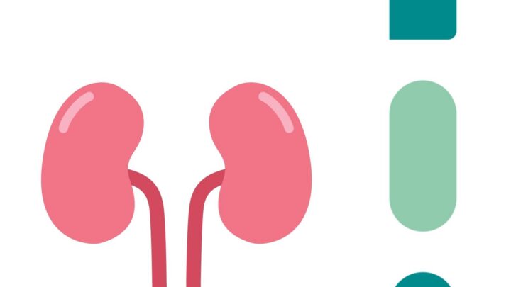 Cálculos renais: conheça os sintomas